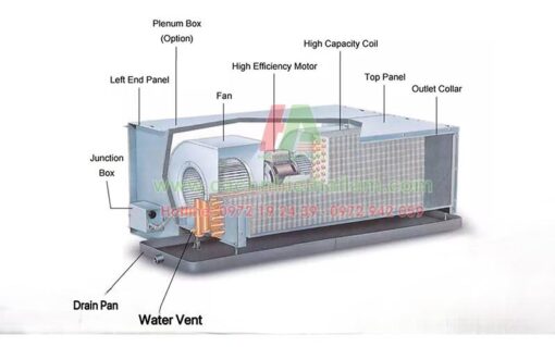 FCU - Ảnh 3