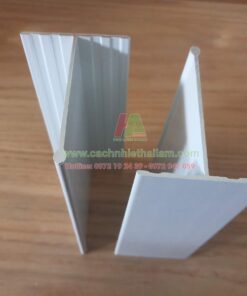 Thanh T 60_80